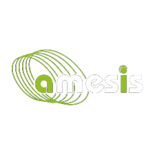 Amesis Logo